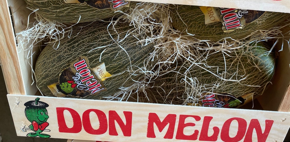 Melón Piel de Sapo, serie Oro