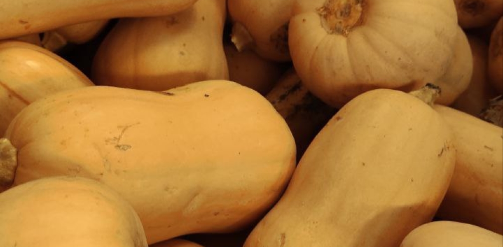 Calabaza