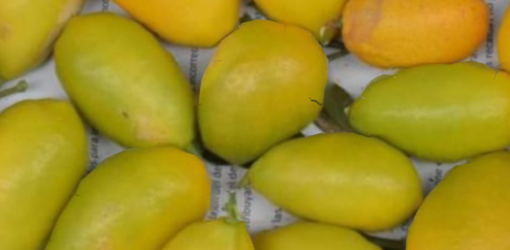 ¿Conoces esta fruta?