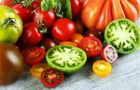 El Viaje del Tomate: De los Andes a la Mesa Global