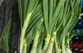 Cebolletas: un sabor único