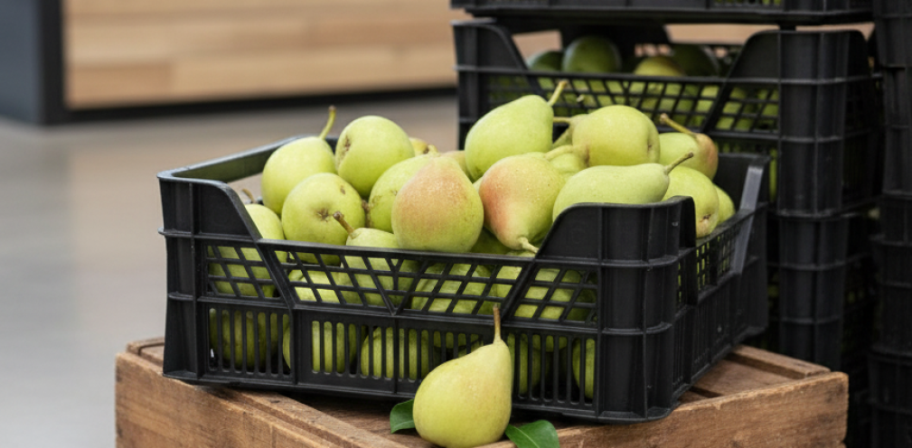 ¡La dulzura hecha fruta ya está aquí!
