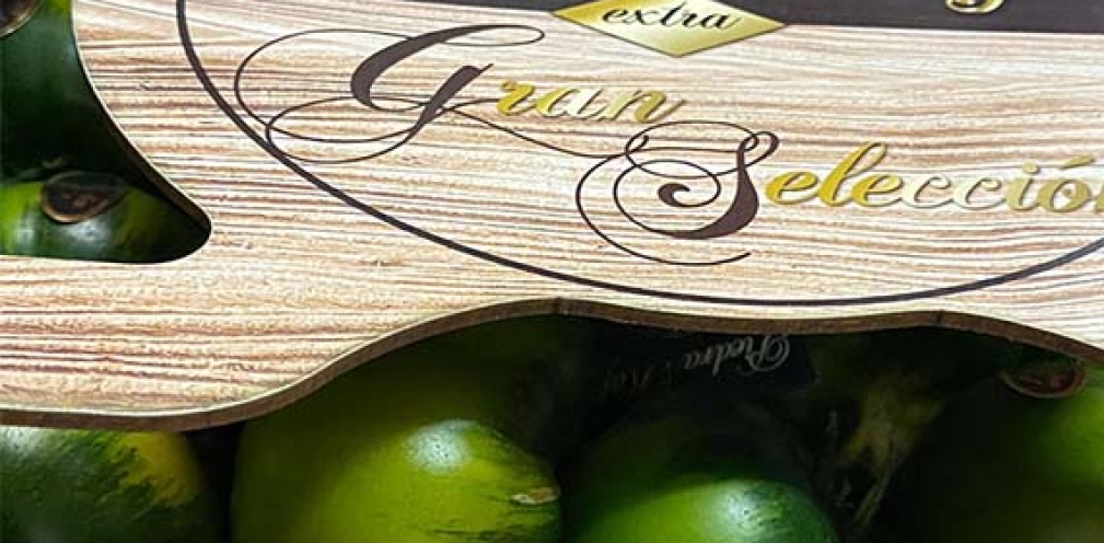 Tomate Piedra Raf GRAN SELECCIÓN